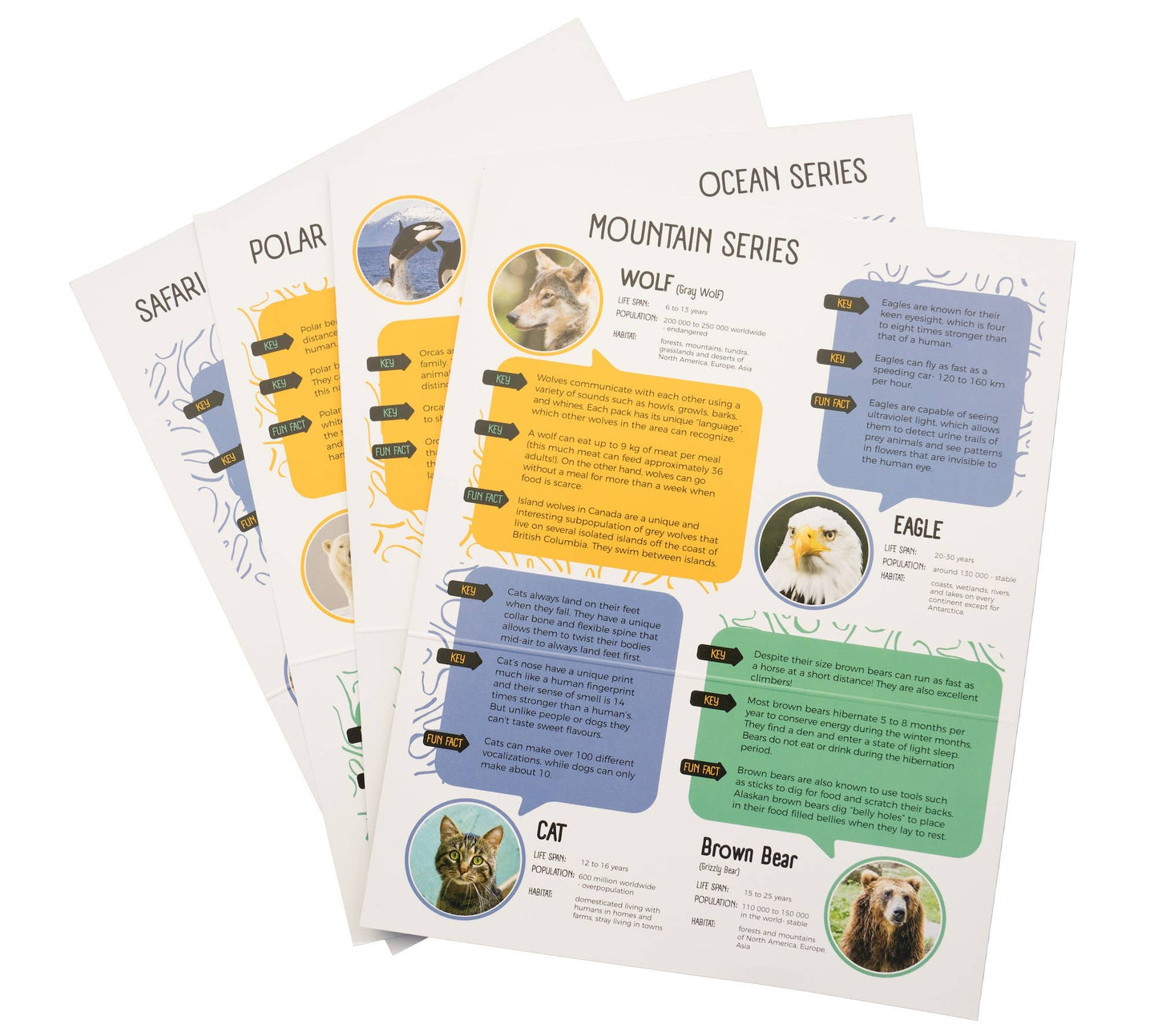 NEW! Penguin Alabaster carving kit