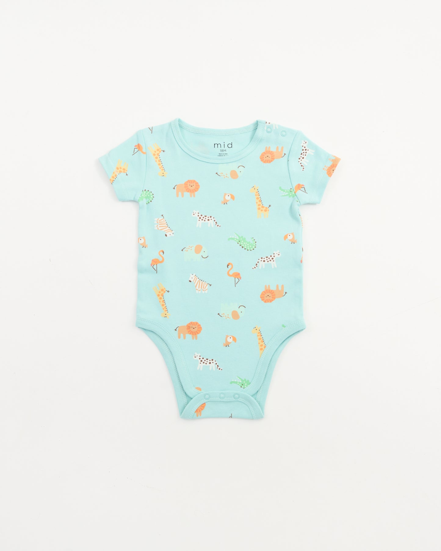 Infant Boys Bodysuit