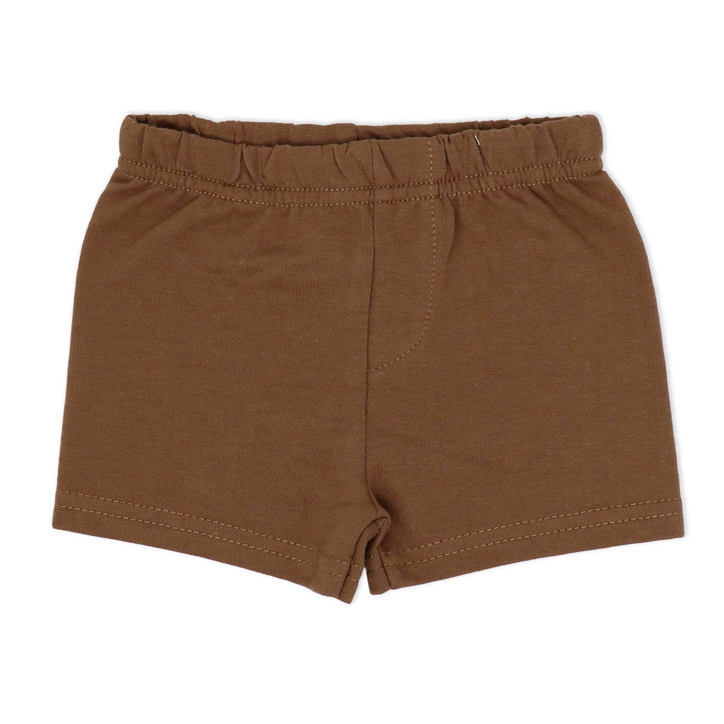 Boys 4 Piece Short Set: Dinosaur