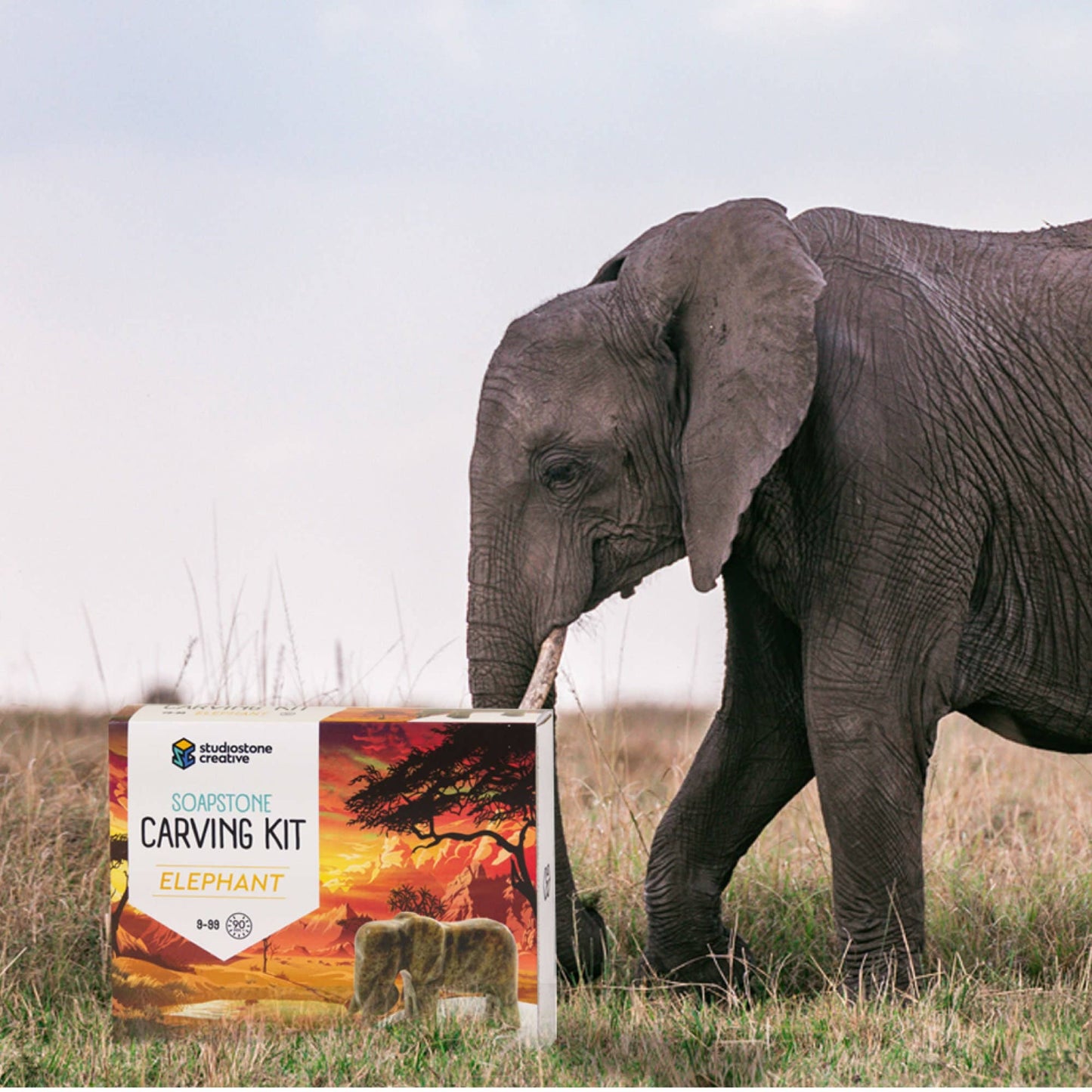 Elephant Soapstone Carving Kit