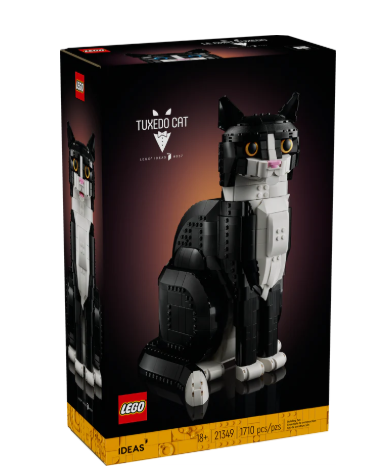 Tuxedo Cat