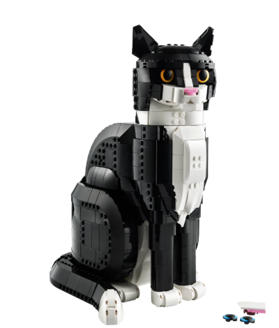 Tuxedo Cat