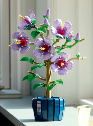 Hibiscus