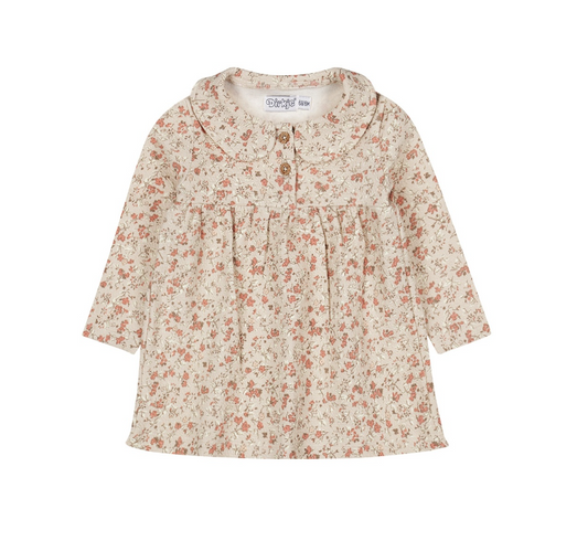 Floral Collared Dress & Headband