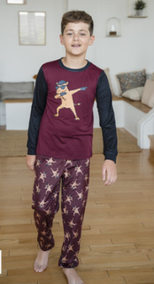 Dabbing Reindeer & Penguin Pajama Set