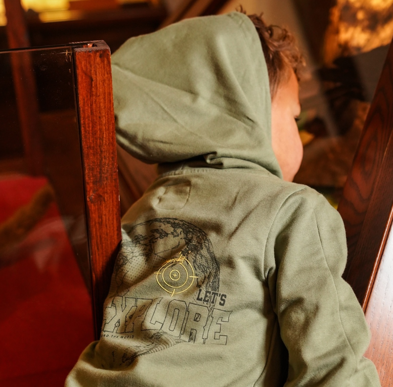 Green Exploration Hoodie