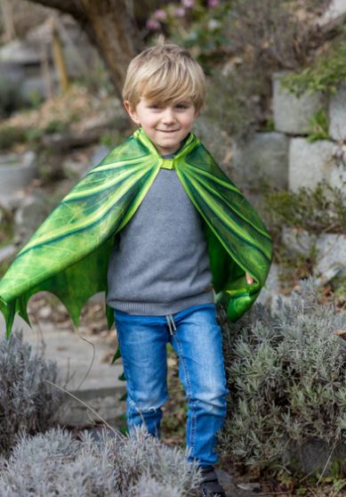 Legendary Dragon Soft Wings