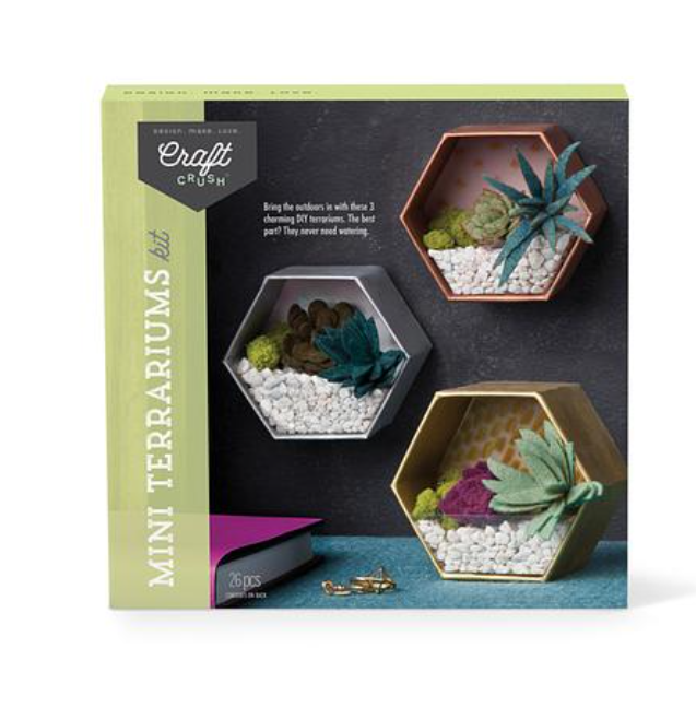 Craft Crush- Mini Terrarium Set