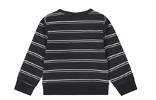 Load image into Gallery viewer, Boys Graphite Blue &amp; Soft Green Crewneck
