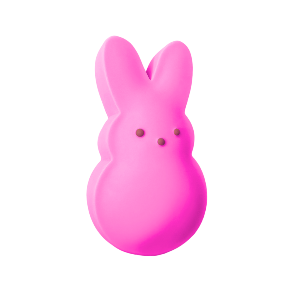 PEEPS BUNNY Squishy