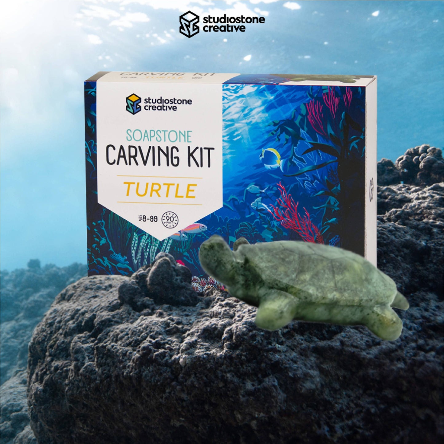 Turtle Soapstone Carving Kit