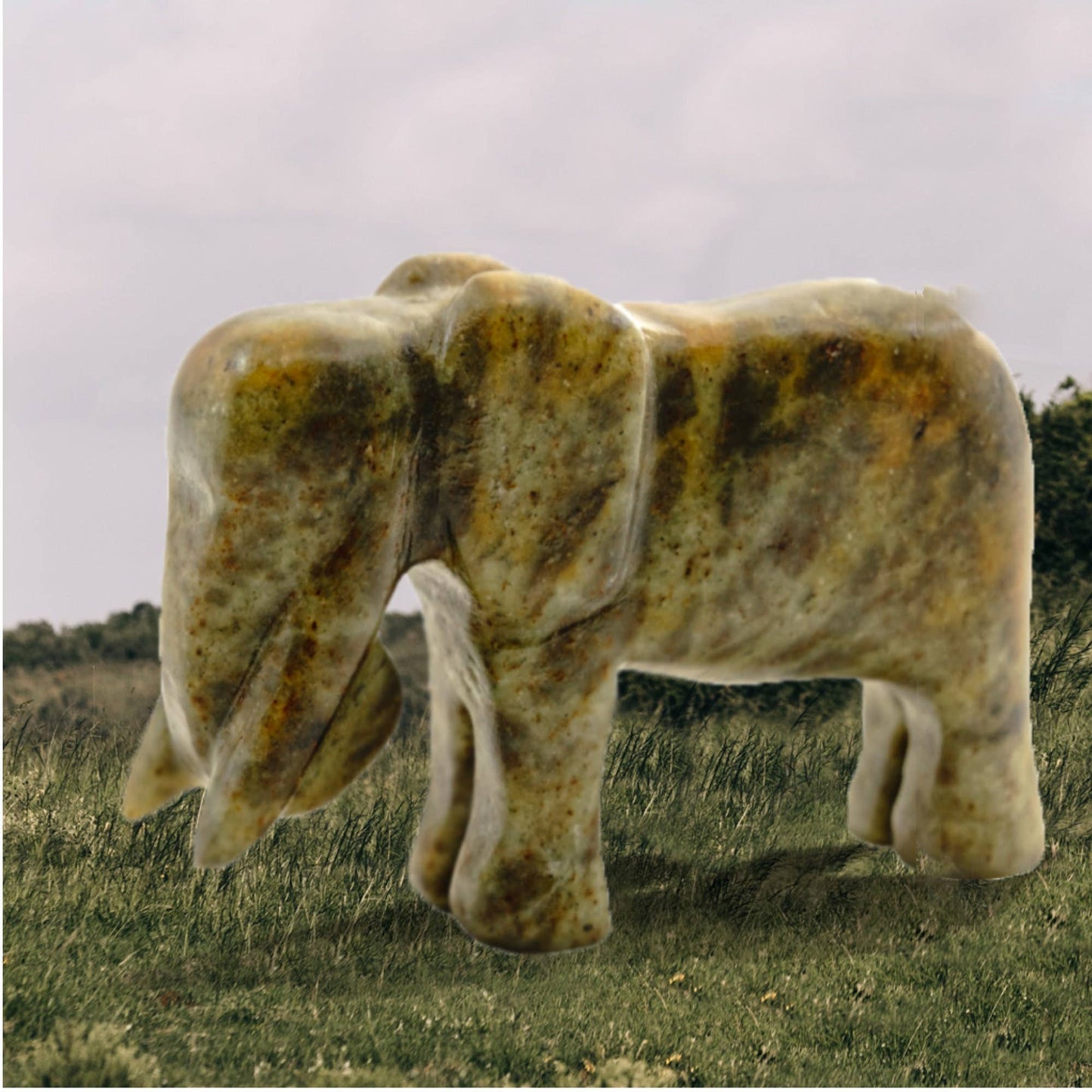 Elephant Soapstone Carving Kit