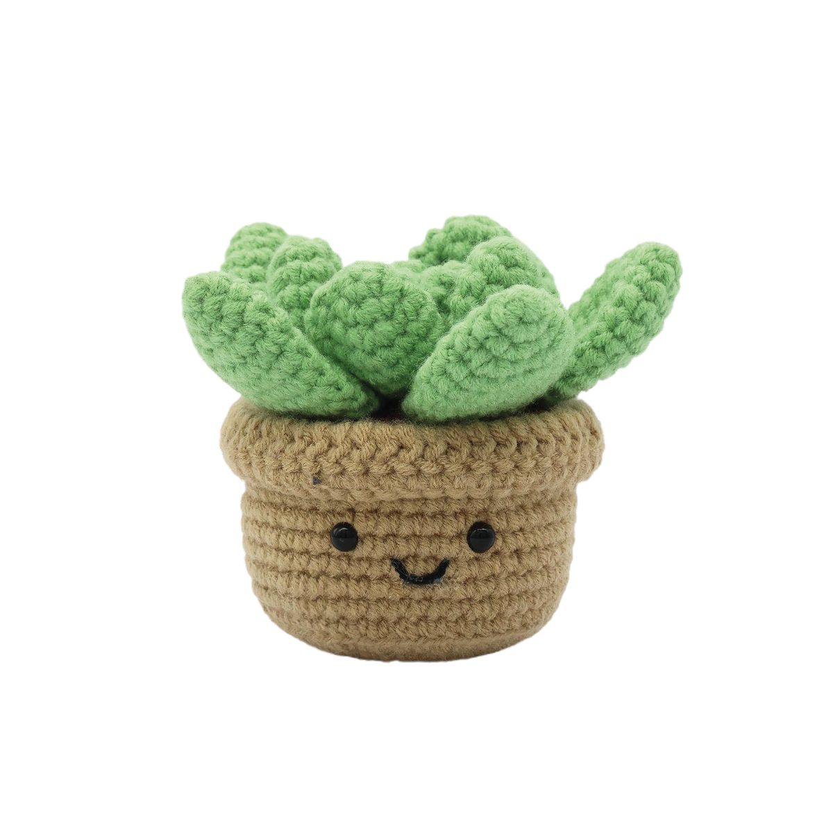 SUCCULENT DIY CROCHET KIT