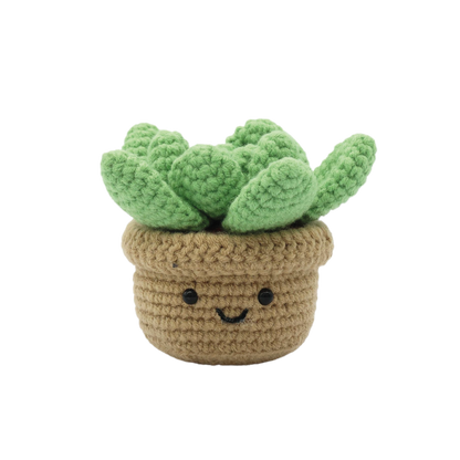 SUCCULENT DIY CROCHET KIT