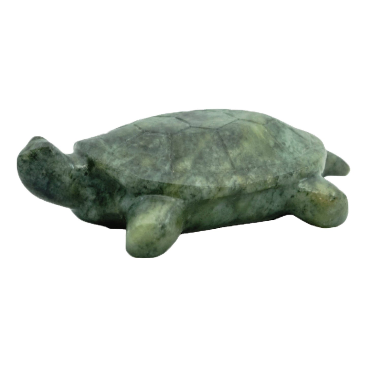 Turtle Soapstone Carving Kit