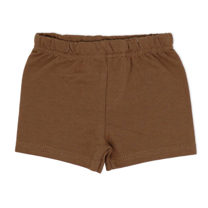 Boys 4 Piece Short Set: Dinosaur