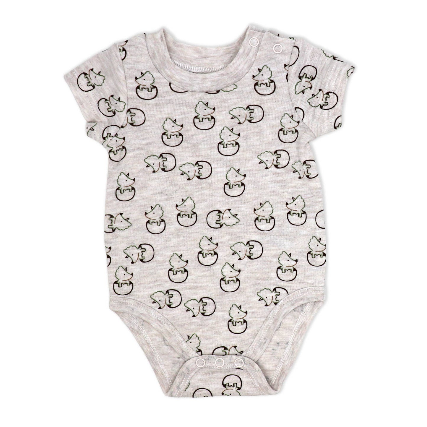Boys 4 Piece Short Set: Dinosaur