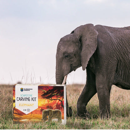 Elephant Soapstone Carving Kit