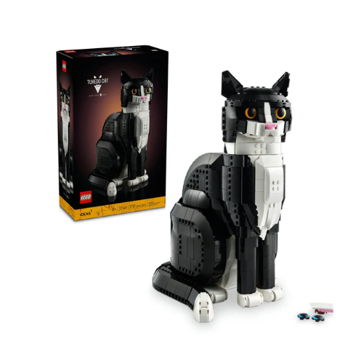 Tuxedo Cat