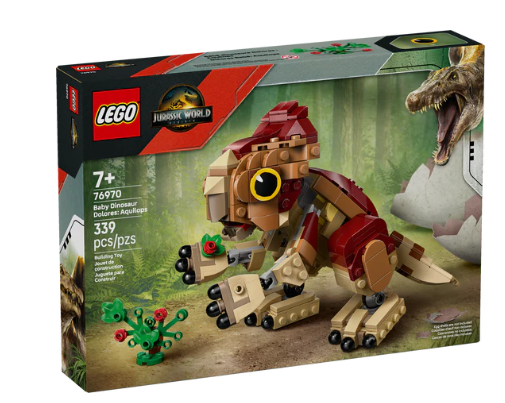 Baby Dinosaur Dolores: Aquilops