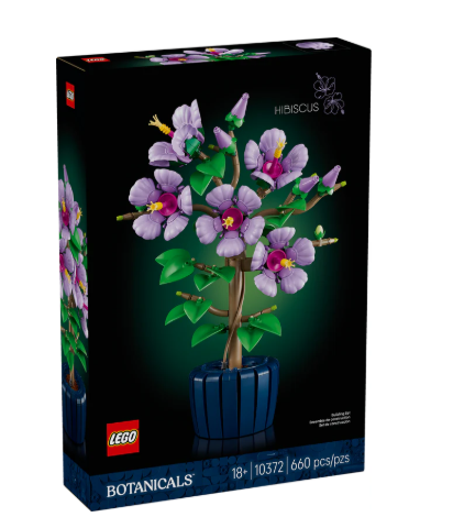 Hibiscus
