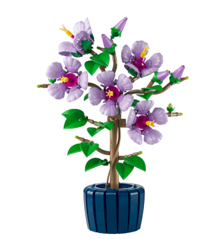 Hibiscus