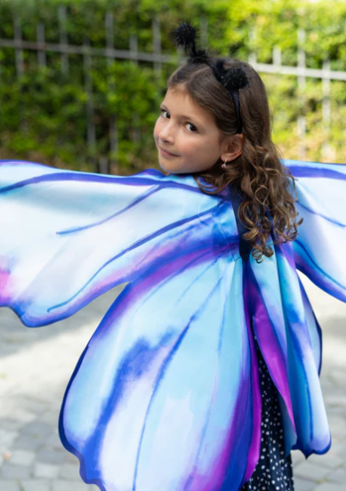 Mythical Butterfly Soft Wings & Headband