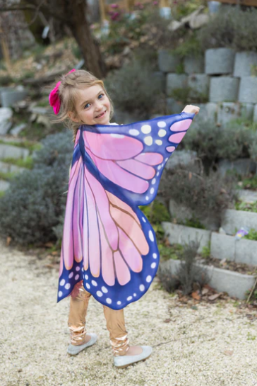 Mystical Monarch Butterfly Wings