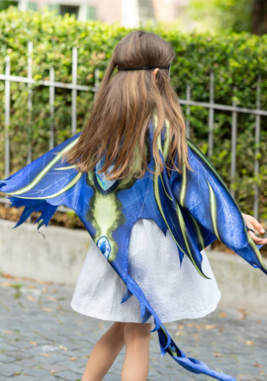 Celestial Dragon Jewel Soft Wings