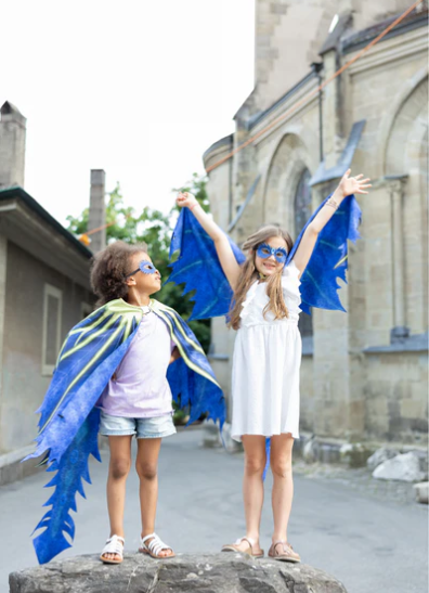 Celestial Dragon Jewel Soft Wings