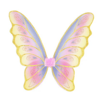 Glitter Rainbow Wings