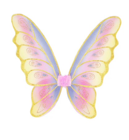 Glitter Rainbow Wings