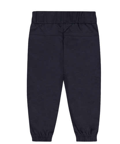 Dark Blue Jogger