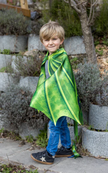 Legendary Dragon Soft Wings