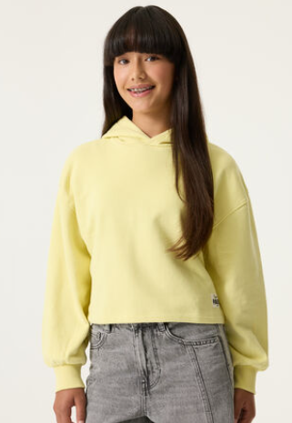 Youth dreamer hoodie