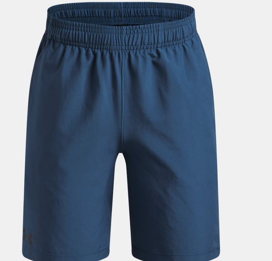 UA Youth Tech Woven Shorts