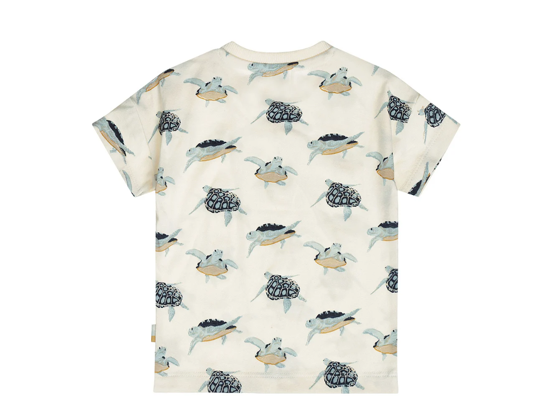 Boy's Sea Turtle Tee