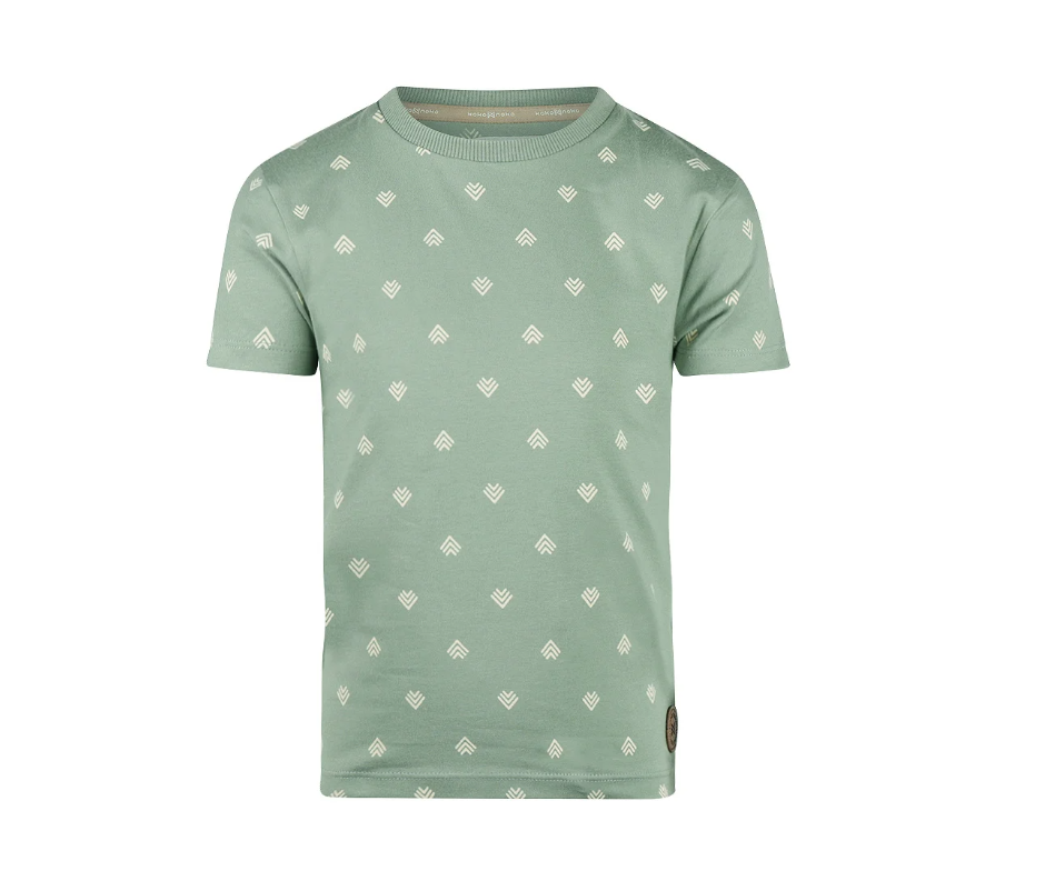 Boy's Sage Arrow Tee
