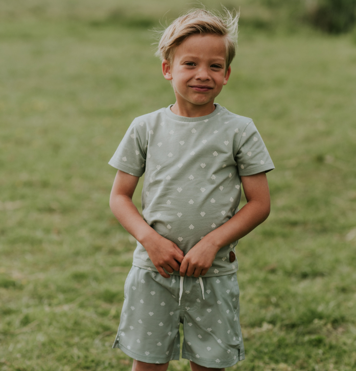 Boy's Sage Arrow Tee