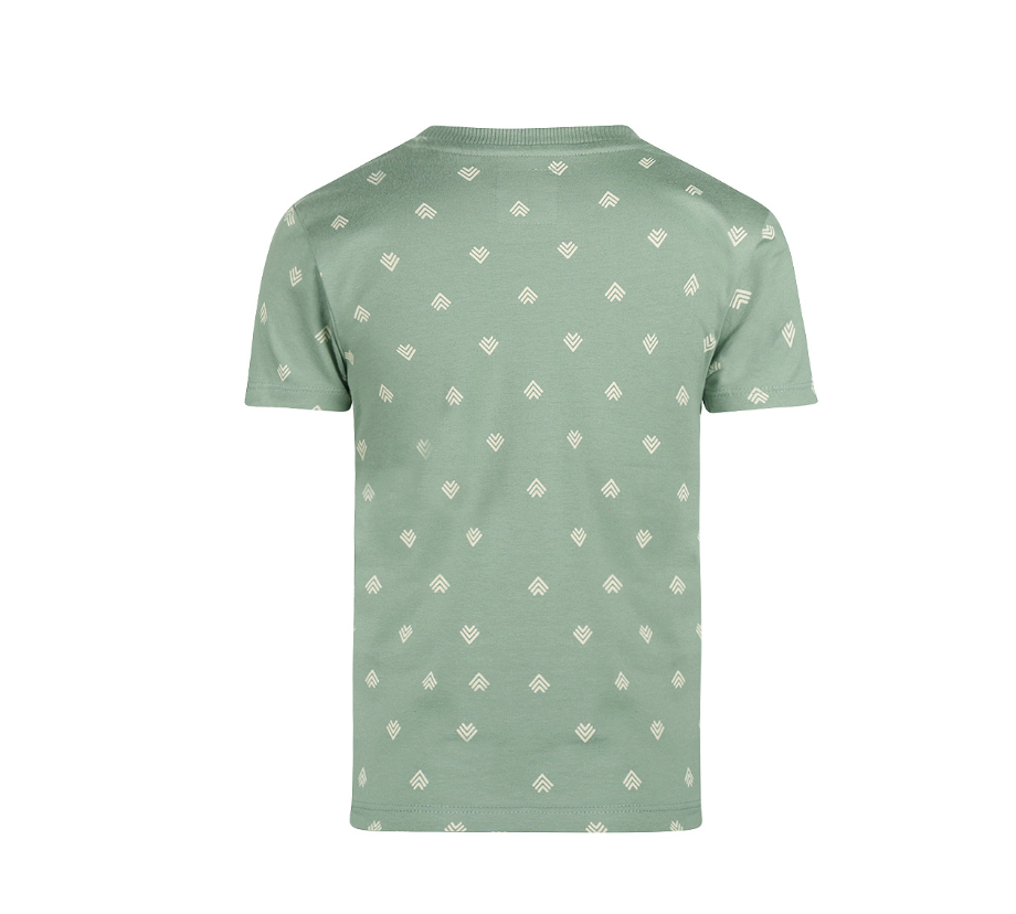 Boy's Sage Arrow Tee