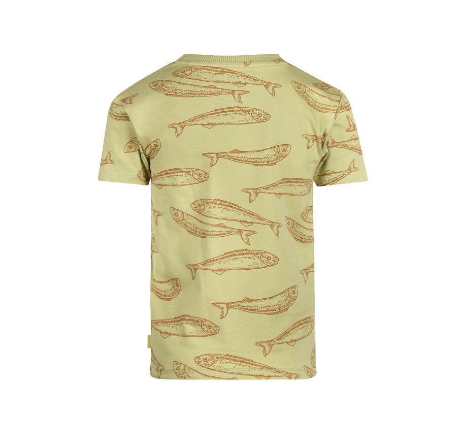 Boy's Faded Green Fish Tee