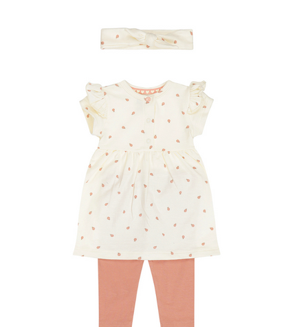 Infant Little Lady Bug 3pc Set