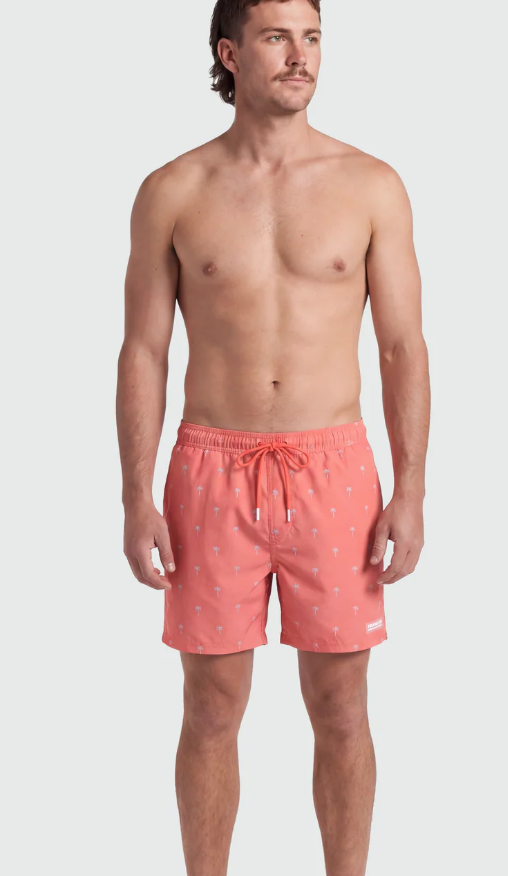 Men's Classic 6" Swim Shorts
