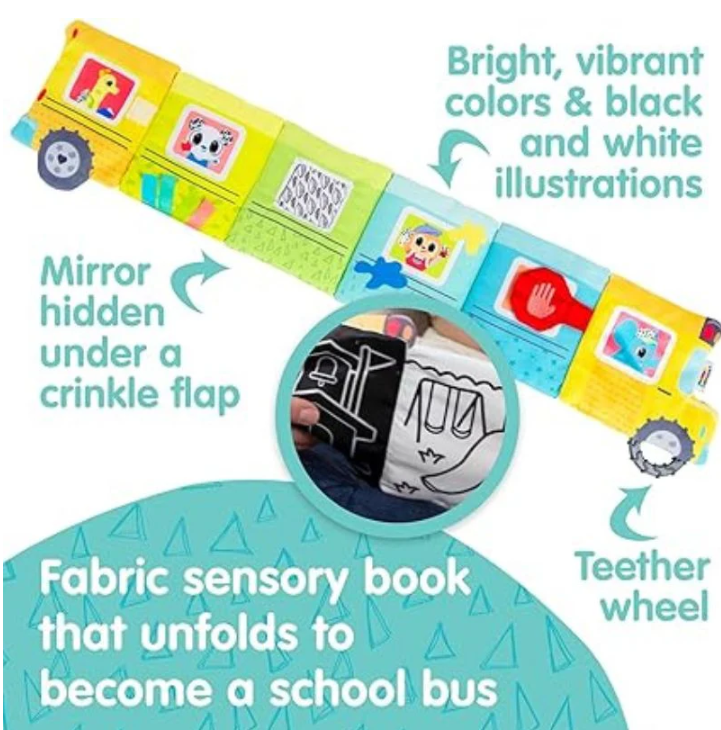 Accordion Bus