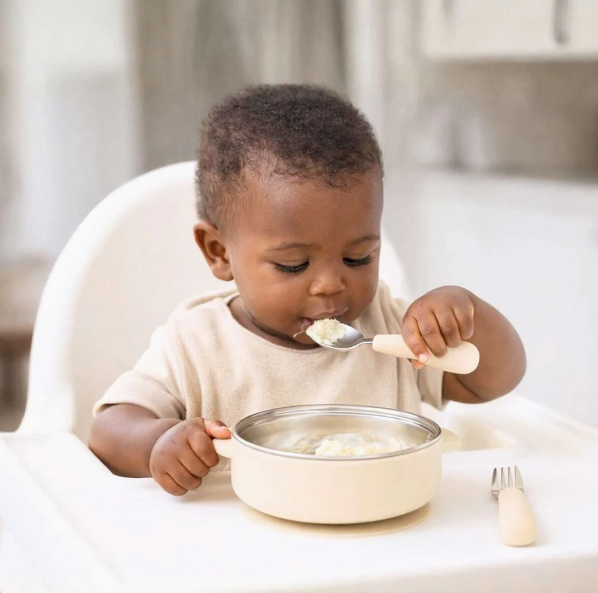 Stainless Steel Bowl & Utensil Set