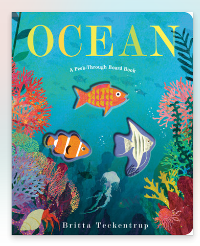 Ocean: A Peek-Through Board Book