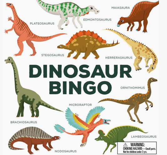 Dinosaur Bingo