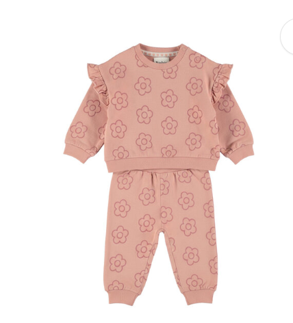 Infant Printed Daisy Jogger Set