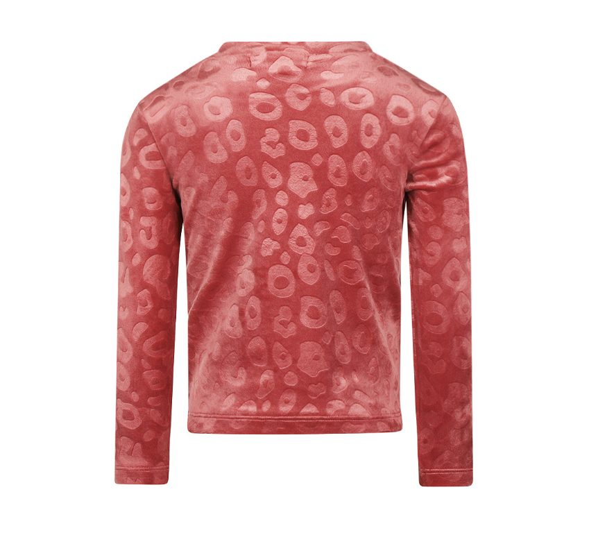 Girl's Leopard Velour Long Sleeve