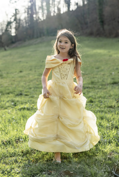 Once Upon A Princess Beauty Dress
